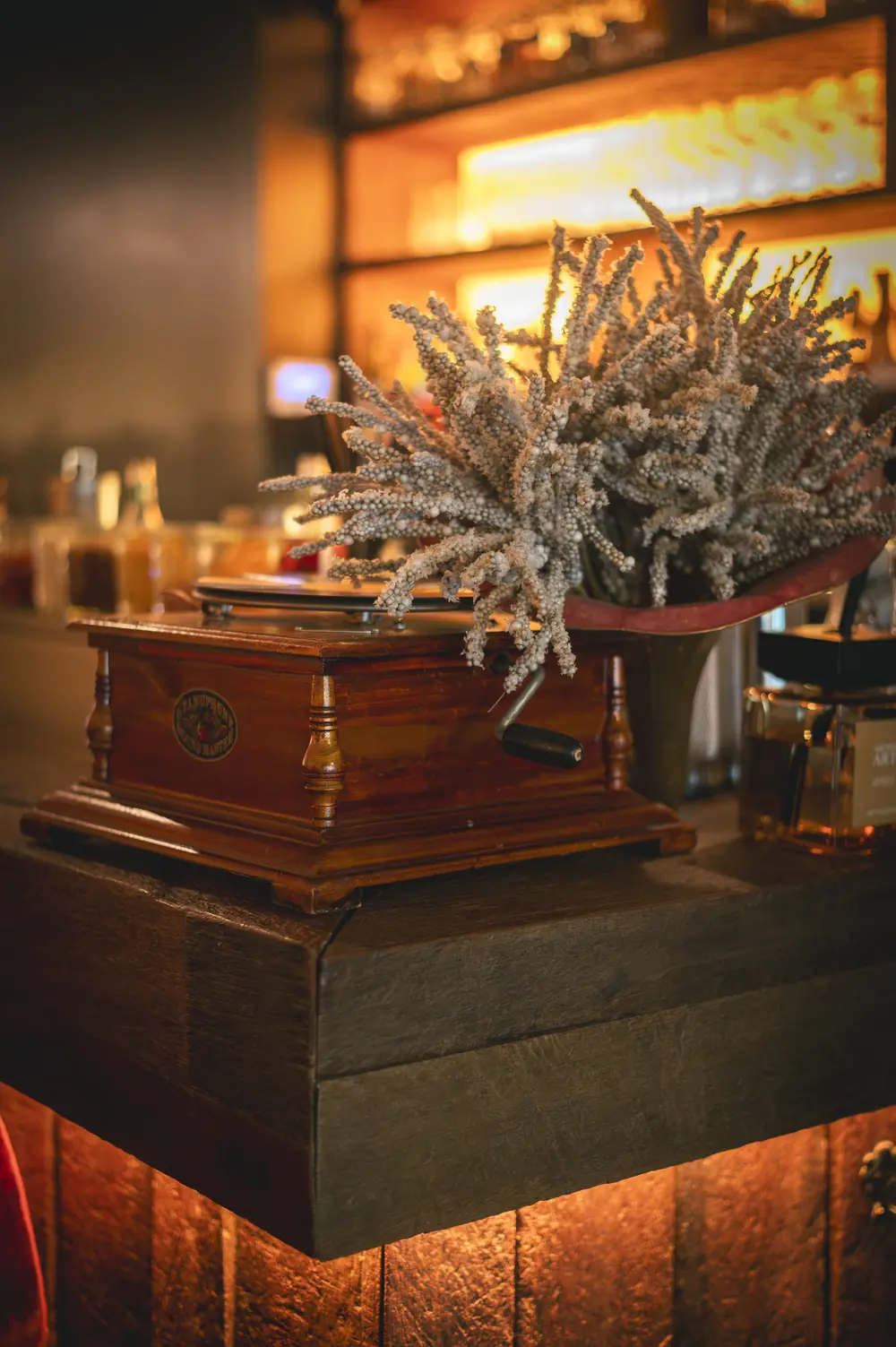 Antieke gramofoon met droogbloemen-bouquet op houten plank, warme bar-achtergrond in WonderBar Genk