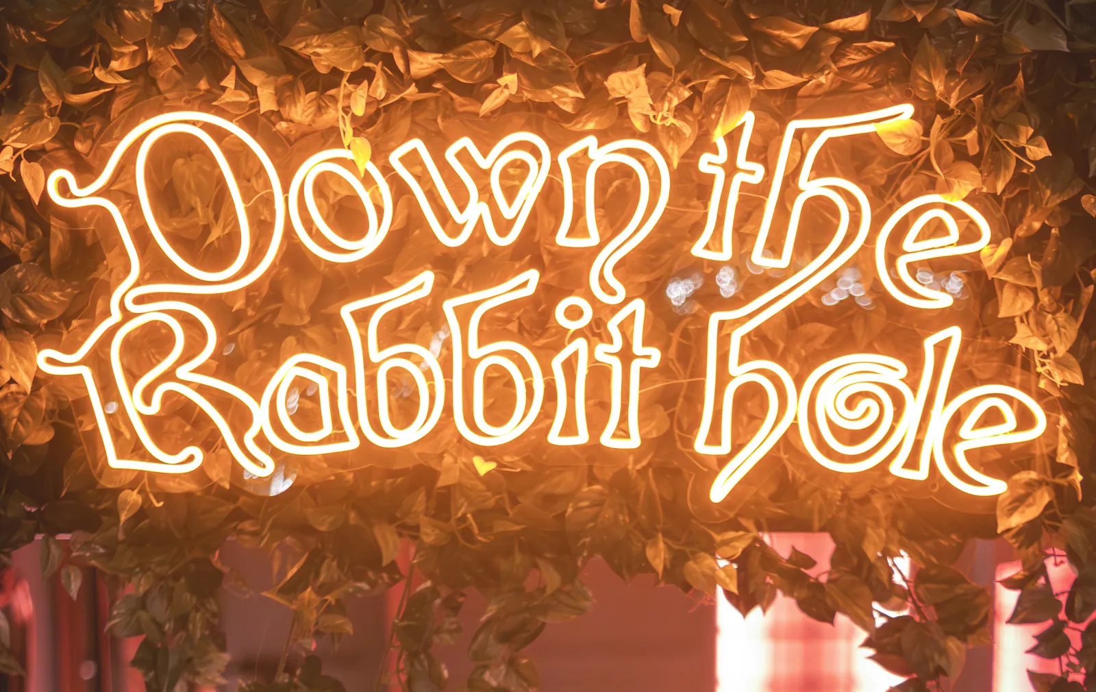 Neonletters &ldquo;Down the Rabbit Hole&rdquo; in een wand van groen in WonderBar Genk